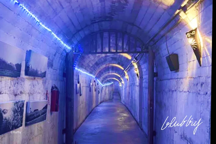 四八高地戰備坑道步道起點